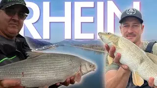 🎣 Neue Rhein-Strecke mit Experten-Tipps &ndash; Angeln mit Olaf Gottsacker!
