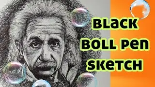 #albert_einstein_boll_pen-sketch  picture artist/ ashok parkhe