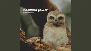 The Open Wide Eyed