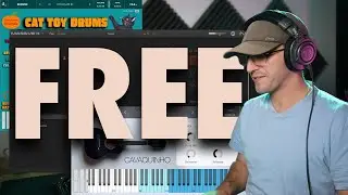 FREE Sample of the Week: MASSIVE X Player Released for FREE! + Cat Toy Drums & Cavaquinho