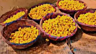 How to make dry dates &hearts;️ ہاے غربت 😭😭