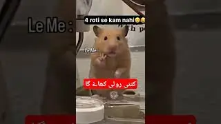 #hatibiqbalofficial #funny #hbofficial #comedyfilms #reelsvideoシ #comedy #hbiofficial #comedymovies