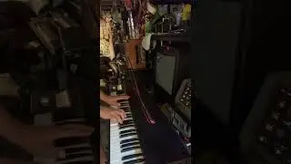 Castlebar Clavinet 🇺🇸