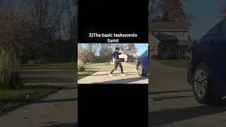 The Basic Taekwondo Forms for Beginners and Advanced. Sam Jang.