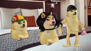 pati patni funny talk💕 #Cheems #cheemsbaazi #dogesh #doglina #dog #comedy #love #sex #kiss #funny