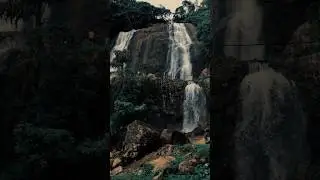 තවත් එක ලස්සන යන්න ඔනි ගමනක් 🍃🫧🫂🌿🌳❤️  #solo #travel #travelapi