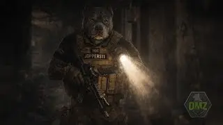 Live DMZ: Back in the shadows
