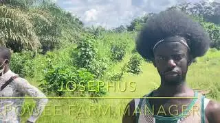 Liberia: Visiting Kpowee farm in Ganta