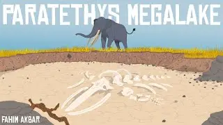 How the World's Largest Lake Killed the World's Smallest Whales | The Paratethys