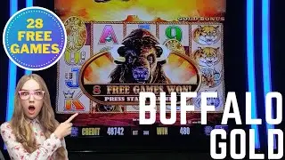 28 Free Games on Buffalo Gold Classic! Late Night Run!