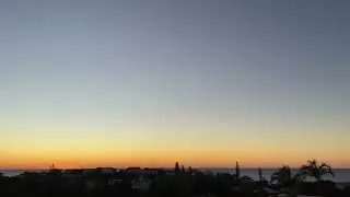 Symphony of bird calls on a winter&rsquo;s morning at sunrise 🌅