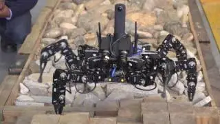 Legged robots walk the walk
