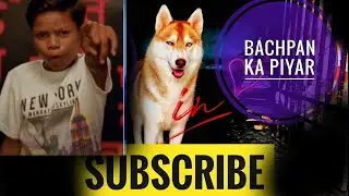 Baspan ka piyar #husky #huskies #huskyinindia #viral video #baspankapiyar #cutehuskypuppies #howling