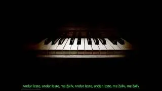 Ni kajiv ma so čerdem - Goca Jovanović, Lyrics Frank #Romani muzika #subtitrura #teksto video #folk