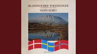 I skovens dybe stille ro