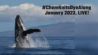 January 2023 #ChemKnitsDyeAlong, LIVE! Dyeing Humpback Whale Inspired Yarn!