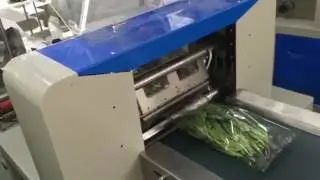 vegetables packing machines, fruits flow pack machine, vegetables flow wrapper