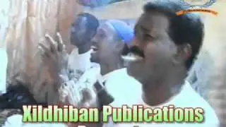 Gabley Shimbir.flv