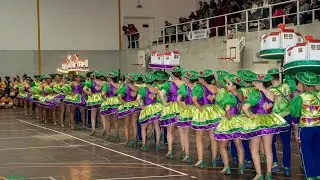 Cernache// 2024 💜💚