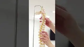 Hear from a Physiotherapy BSc student