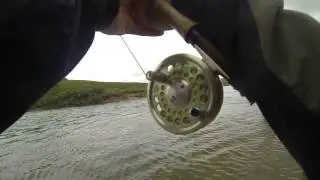 Fly Fishing For Alaskan Rainbow Trout