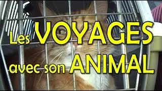 V&eacute;tolab #4 - Les VOYAGES avec son ANIMAL