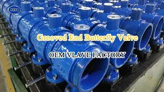 Grooved End Butterfly Valve, Rubber Lined Disc, Worm Gear, China valve factory