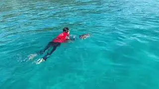 Turtle Bay Redang