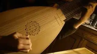 ANONYMOUS | Le Gris de lin in D minor (baroque lute, live recording)
