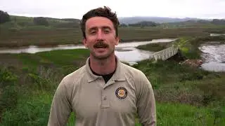 Pescadero & Butano Creek Fish Tracking Project: Partner Perspective from CA State Parks