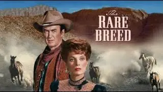 The Rare Breed (Tribute)
