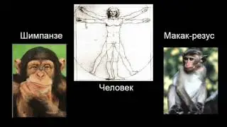 Доказательства эволюции (часть I)/Evidence for Evolution, Part I (by cdk007)