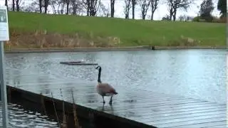 Martin Lumiere Park