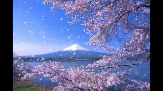 Soothing music for sleep and relaxation / Успокаивающая музыка для сна и релаксации