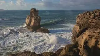 AI Edutainment Managing Loss & Healing for Australians | Support for Health, NFPs & Workplaces