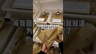 在干粮店配料DIY车轮芝士火鸡面能有多随意#海外生活 #车轮芝士
