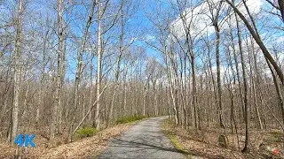 Ridge Road in High Point State Park NJ