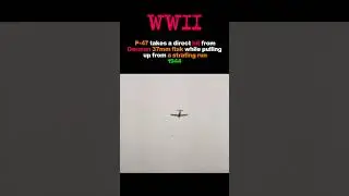 Hit by German 37mm Flak &mdash; Still Flying🛩️