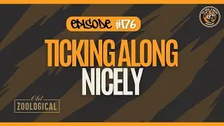 THAB #176: Ticking Along Nicely #hcafc #EFLChampionship #HullCity