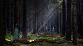 Dark Drum and Bass mix / Ghandza - DnB Na Houby 1 (Magick mushrooms set)
