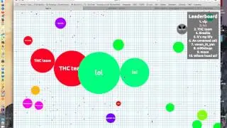 1st on Agar io