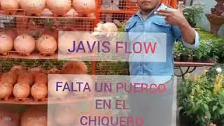 Javis Flow - El Vacile Del Puerco [Audio Original]