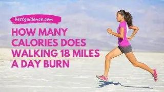 How many calories does walking 18 miles a day burn | BestGUIDENCE