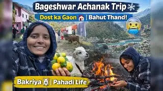 Achanak Bageshwar Jana Pada 😲 | Dost ka Gaon aur Pahadon ki Zindagi🖼️ 