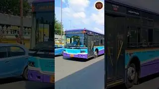 Transit tales 40 | Chennai | Bus no: MAA1