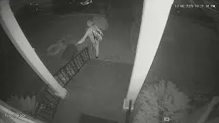 Mail Thief