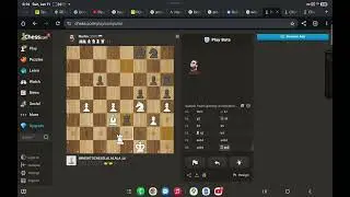 Chess Chaos