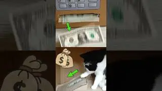 ATM. Cash withdrawal. How does it work? #cat