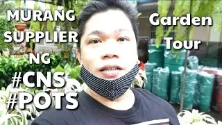 MURANG SUPPLIER NG CACTUS AND SUCCULENTS AT POTS