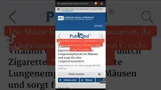 Vitamin C und besch&auml;digtes Lungengewebe